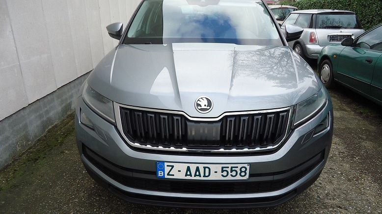 Skoda KODIAQ - VERKOCHT